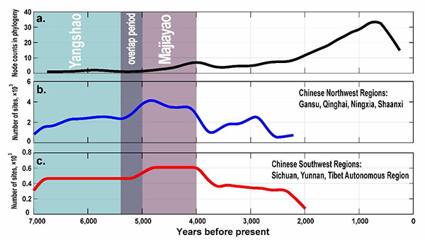 汉藏语系语言的分化与中国西北地区与西南地区的人口扩张相关。