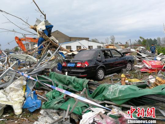 一棵大树倒伏，砸中下边房屋，一辆汽车也不幸殃及。　朱志庚 摄