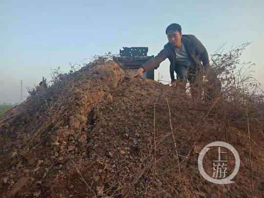 　11月26日，河南叶县徐守文夫妇合葬的坟。摄影/牛泰