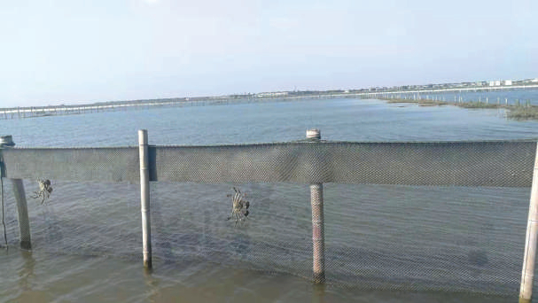  阳澄湖大闸蟹围网养殖区域。