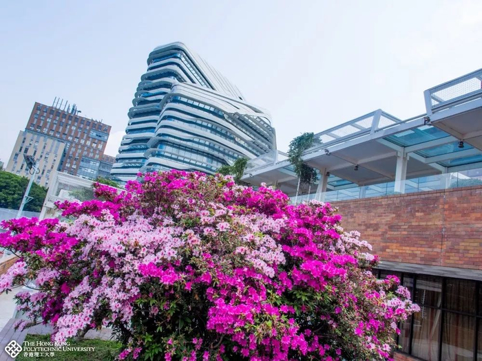  香港理工大学校园。图片来源：香港理工大学官网