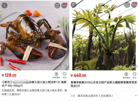 电商平台上的香椿芽和波士顿龙虾价格