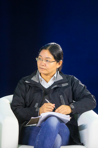 北京大学中文系教授 贺桂梅