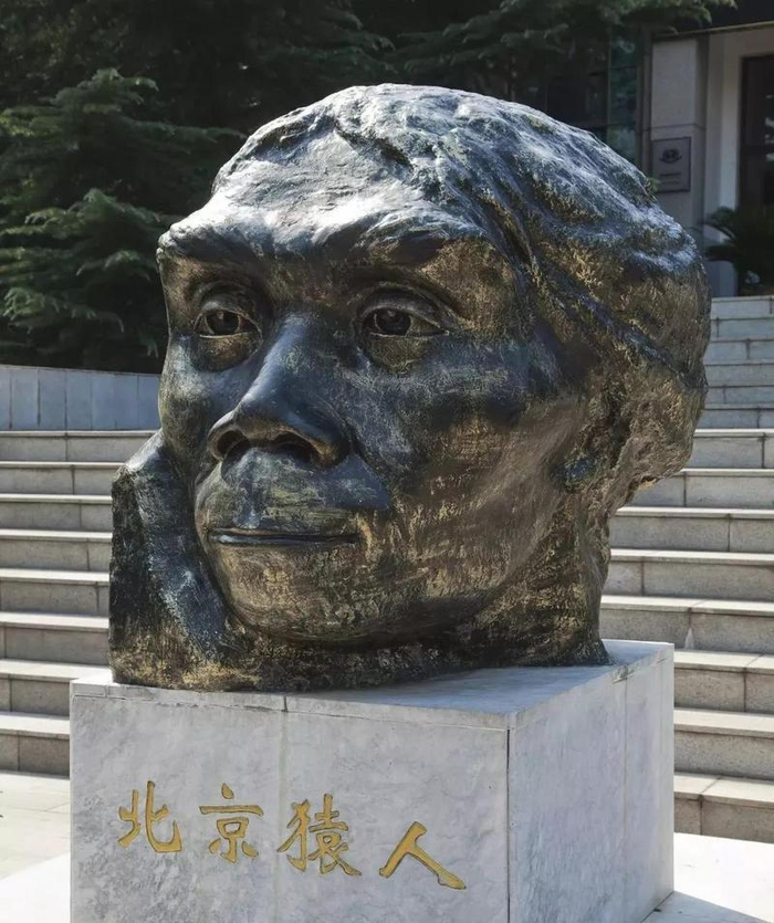 380万年前的猿人头骨,告诉你不一样的“人类进化史”|冰河期|视觉中国
