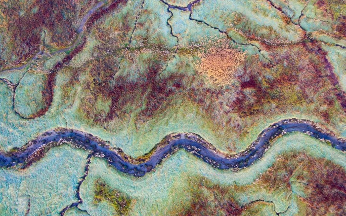 亚军，《蛇》，摄影：Sam Mannaerts&nbsp;