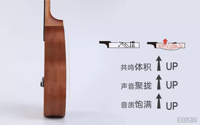 琴箱的弓形背板结构设计,令共鸣箱体积增大,声音可以更好的发生共鸣