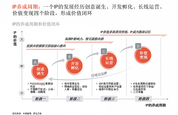 （C）IP生命周期 图表来源：罗兰贝格
