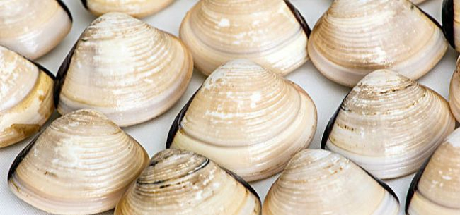  （图片来源：全景视觉）