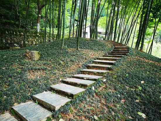 岳麓书院书斋亭台间的小路&nbsp;黄沅玲/摄