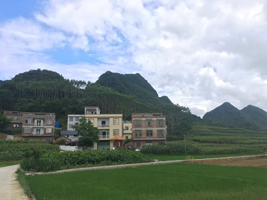 三炮家的黄色小楼在塘红乡车别庄格外显眼