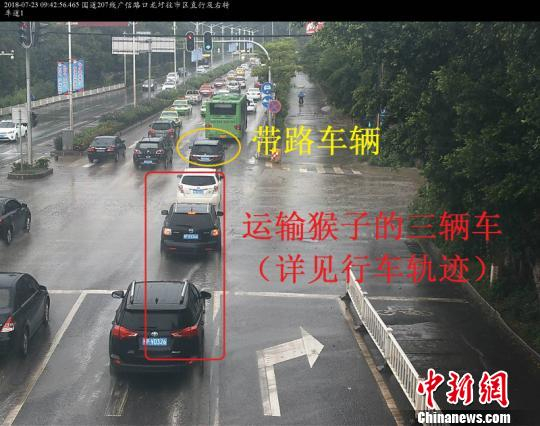  图为前期情报锁定涉案车辆　张鑫　摄