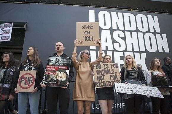 在国际时装周的会场周围，每年都会有动物保护组织在高声抗议。（图片来源：buro247）
