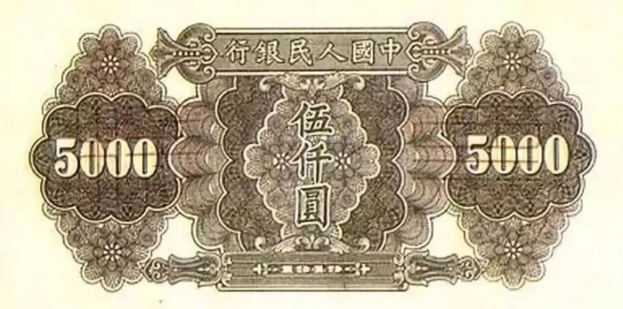 1-49A骆驼