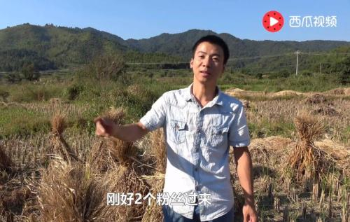 国庆期间，华农兄弟拍摄的视频有粉丝出镜。 来源：视频截图