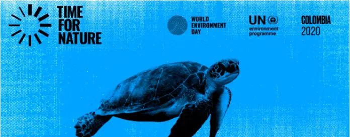 图片来源：联合国