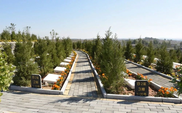 沂城街道东跋山公墓场景。