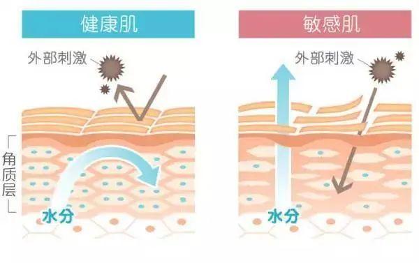 春天如何快速补水？别急！我有好方法！