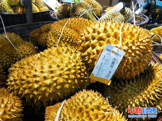  资料图 中新经纬 赵佳然摄