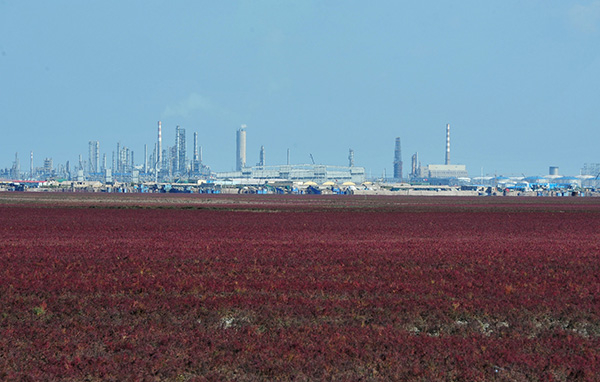 辽宁省盘锦市红海滩。东方IC 资料