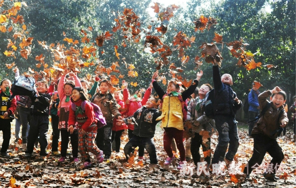 图说：秋日里走进自然的孩子们 杨建正 摄