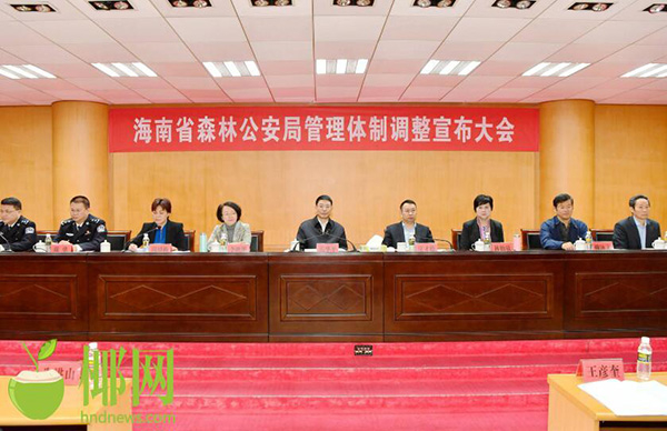 大会现场 椰网 图