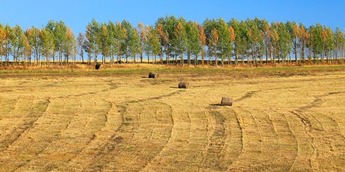 农村土地承包法修订的进步与缺陷