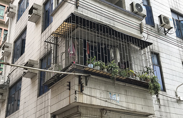  涉事家庭阳台上的盆栽和衣物 澎湃新闻记者 沈文迪 图