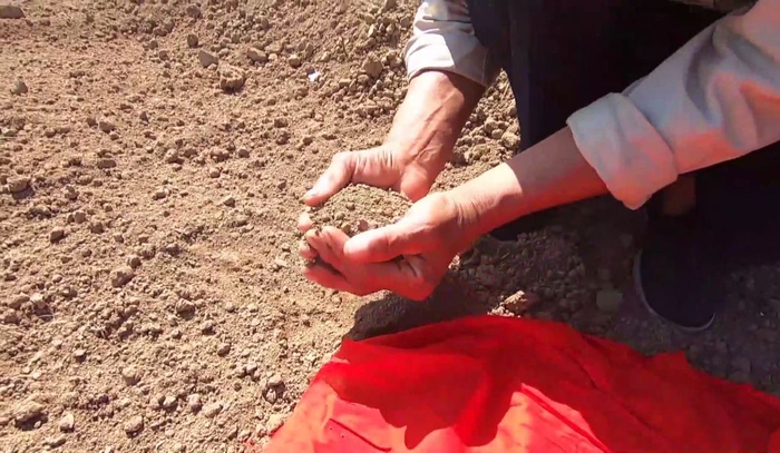 　　∆ 英雄许玉忠家乡的泥土带上家乡的枣，带上一捧家乡的泥土。许玉忠烈士，亲人来看你了。许玉忠烈士终于回到这片生他养他的土地。