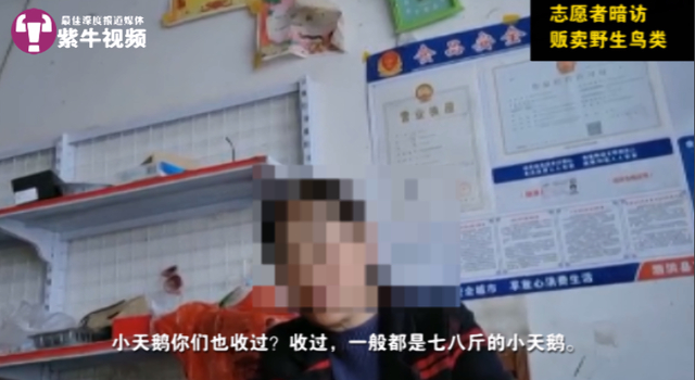 志愿者暗访卖野鸭的商户