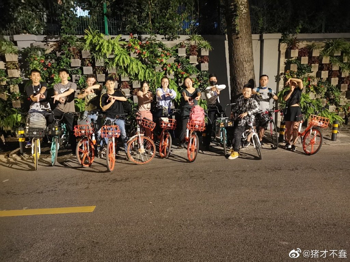 图源：@猪才不蠢