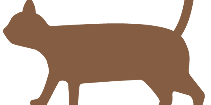 热点 | 积极性超高!贵州生态文明注册志愿者达8