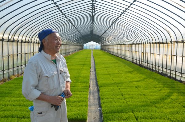 佐渡市新穗长亩生产合作社农民大井克巳（胡俊凯 摄）