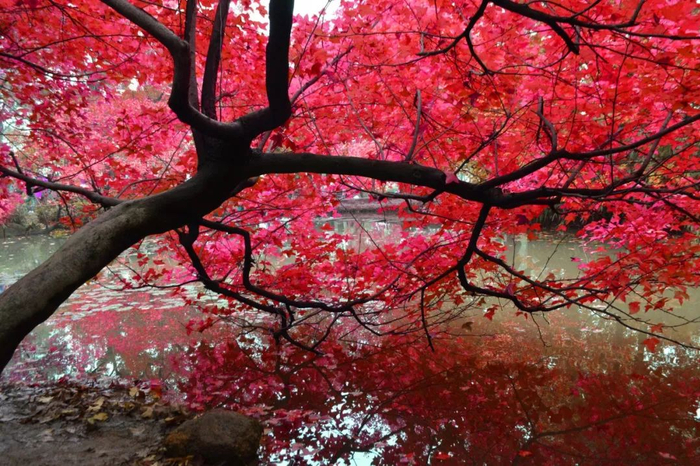永州蓝山的早晨
