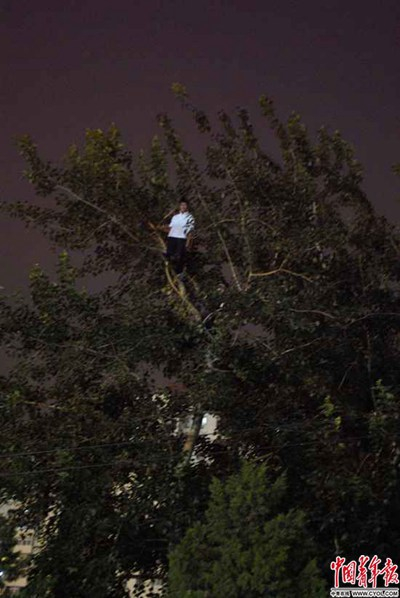 2008年8月8日，北京华严里小区，两名男子在树上观看奥运会开幕式的烟花。中国青年报·中青在线记者&nbsp;李隽辉/摄