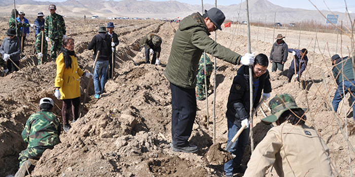 西藏噶尔的绿色战役:两年投资1.5亿,消除无树