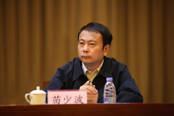苗少波