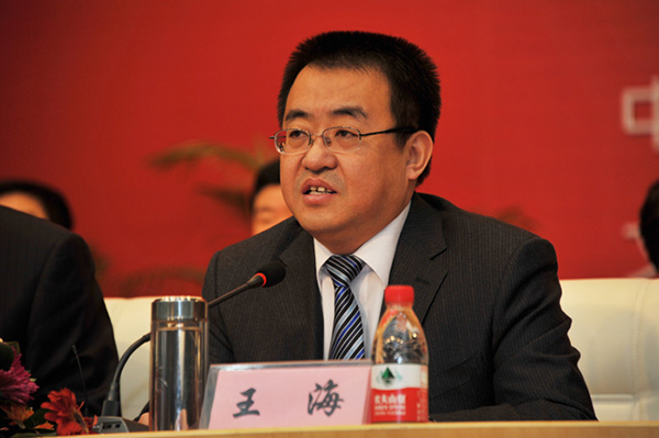 王海 文安县人民政府网 资料图