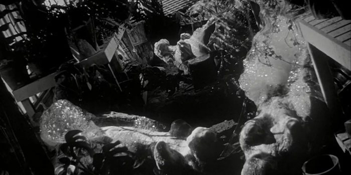 那些令人又爱又怕的“身体入侵者” | 特冷门|天外魔花|入侵者_新浪娱乐_新浪新闻