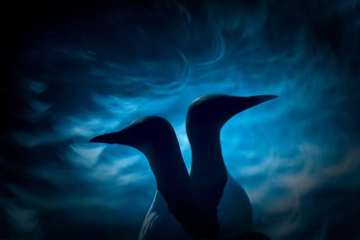 并列亚军，《意见分歧》，摄影：Francis De Andrés De Miguel&nbsp;