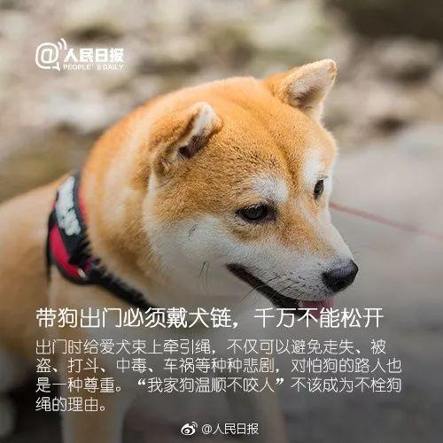 触目惊心！广西5岁男童被恶犬撕咬6分钟，伤口从眉角裂到后脑勺..