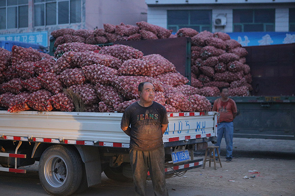 4月份，全国大蒜平均批发价每公斤5.44元，同比下跌59.9%。视觉中国 资料