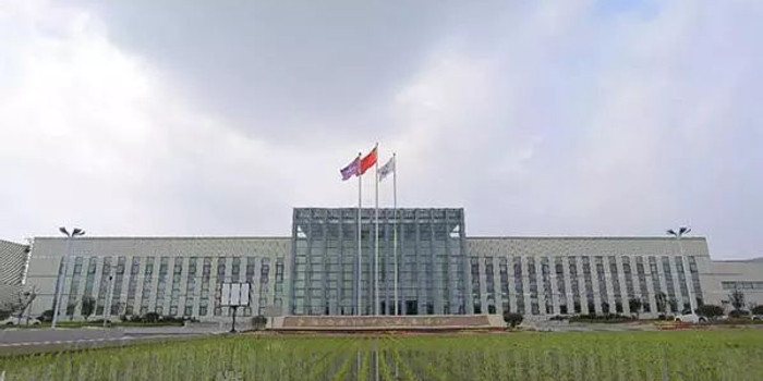 隆平团队迪拜沙漠海水稻获成功,将成阿联酋国