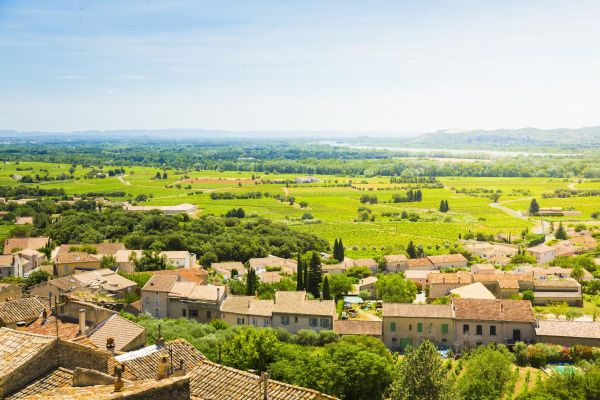 法国新教皇堡的乡村风光（视觉中国）