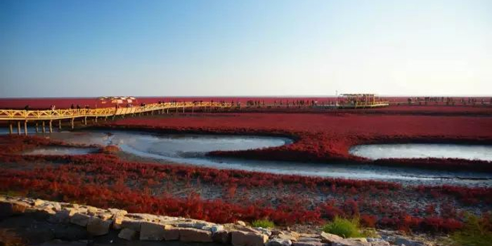 2018年全国国际象棋棋协大师赛(辽宁盘锦)竞赛