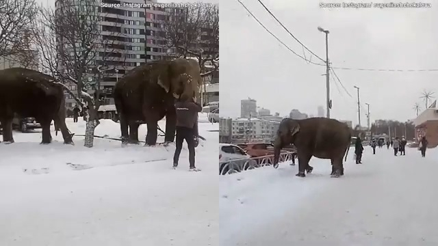 （视频截图 via BGR）