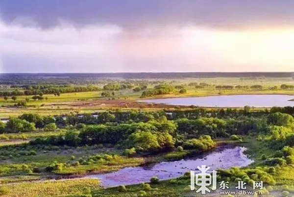  11.鸡西东方红湿地国家级自然保护区