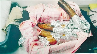 海关在姜某行李中起获的象牙制品。法院供图