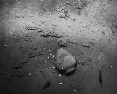 科学家利用深海摄像头，在海底拍摄的“圣荷西”号上所载的货物。