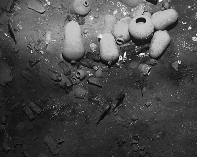 科学家利用深海摄像头，在海底拍摄的“圣荷西”号上所载的货物。