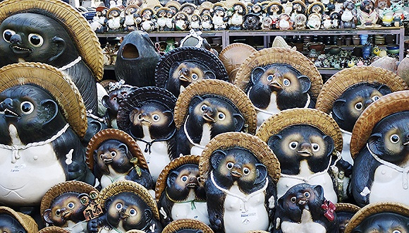 图片来源：视觉中国